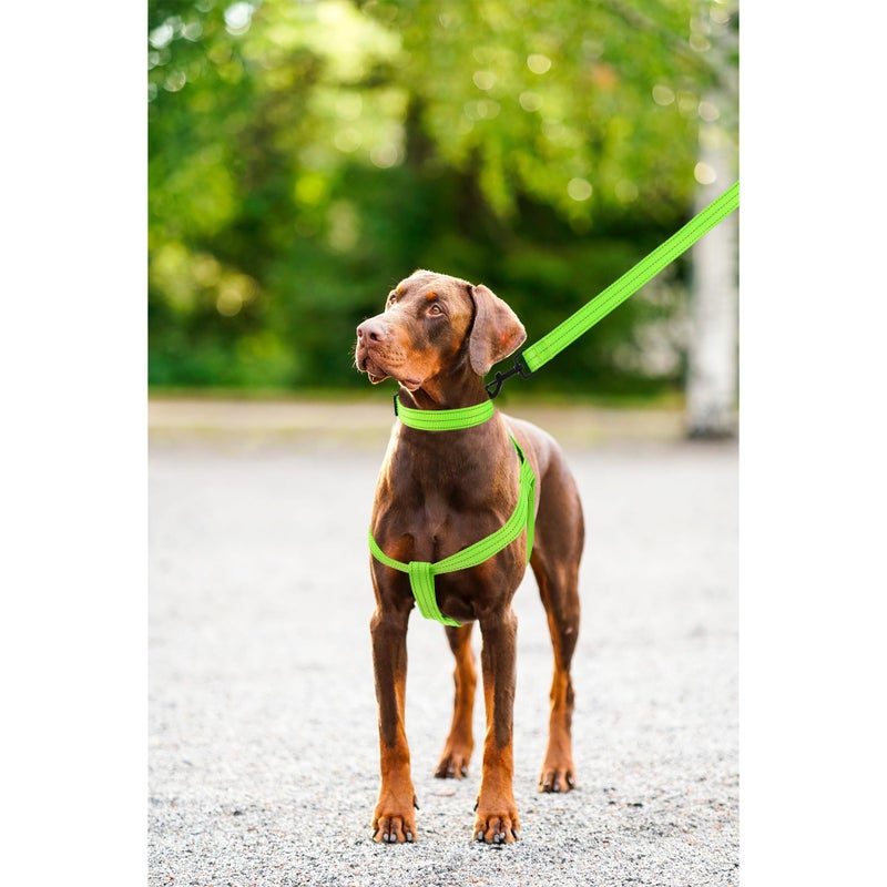 Mile High Life Night Reflective Double Adjustable Band Nylon Small Puppy Pet Dog Combo Collar Leash and Harness Set (Reflective Solid Lime Green, Large (Pack of 3)) - Image 5